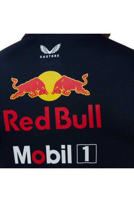 Polo F1 Red Bull